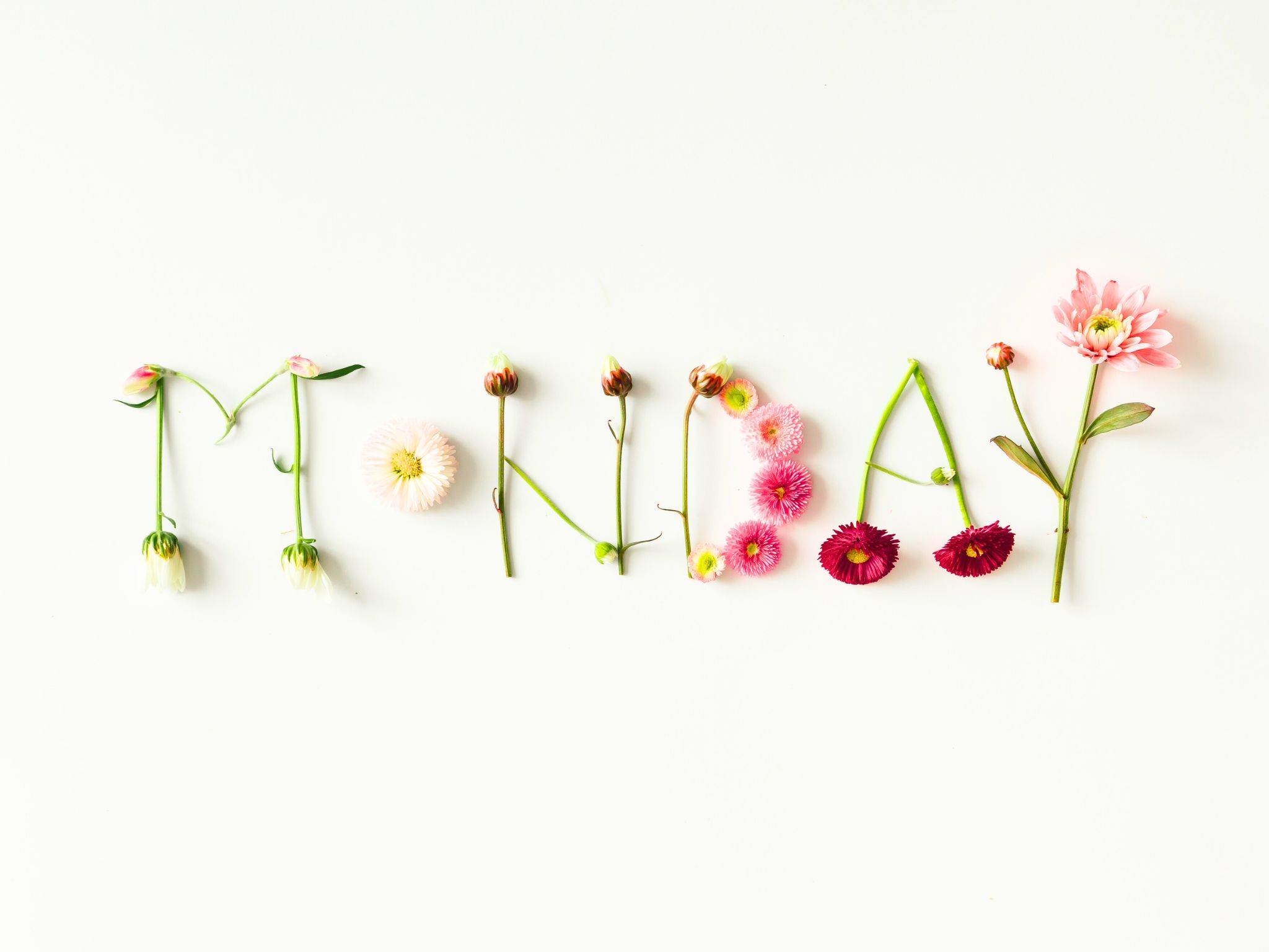Monday Morning Blog Club 3/7/23
