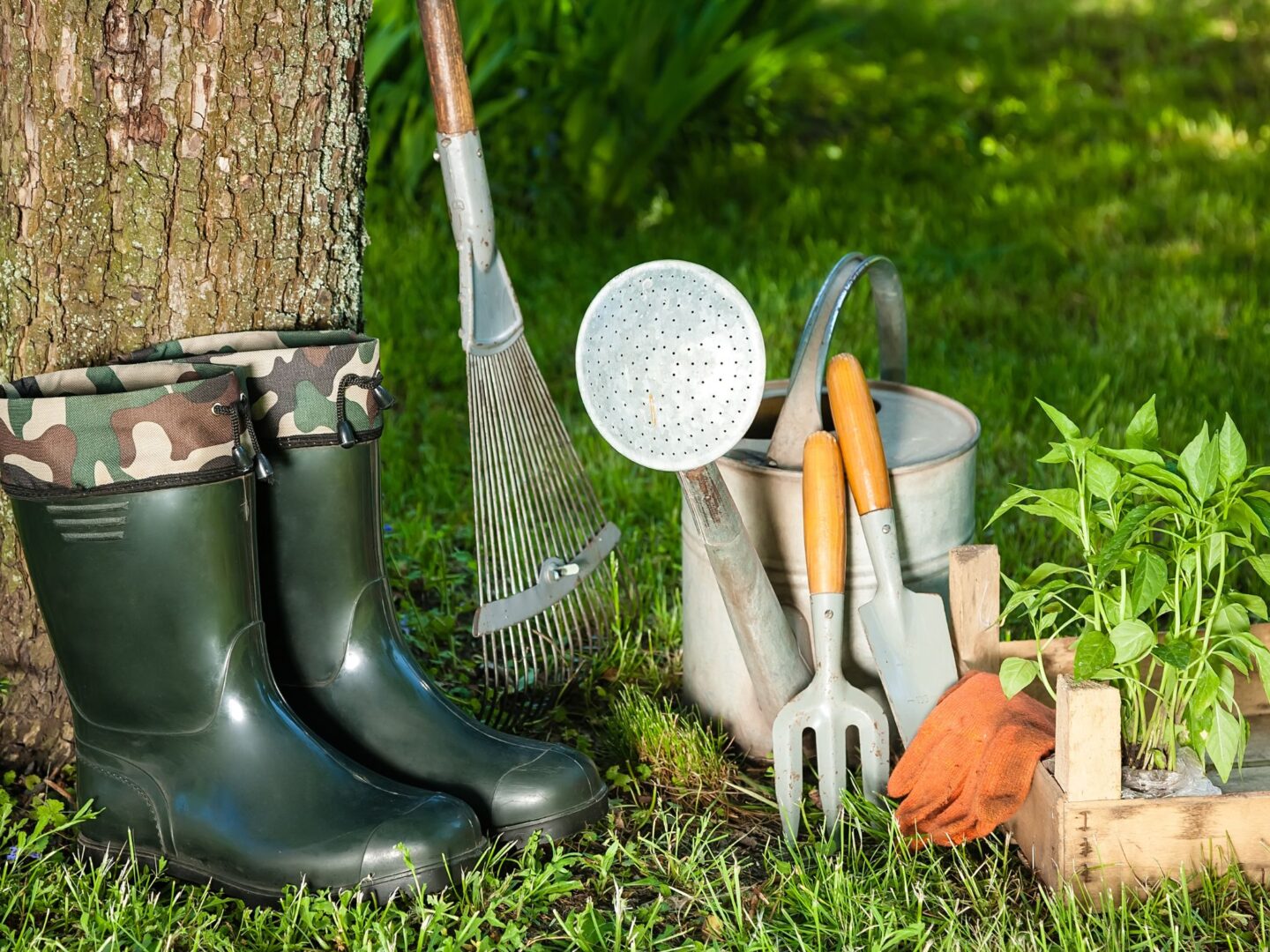 Preparing For Winter? Here's How To Protect Your Garden Tools - Sticky ...