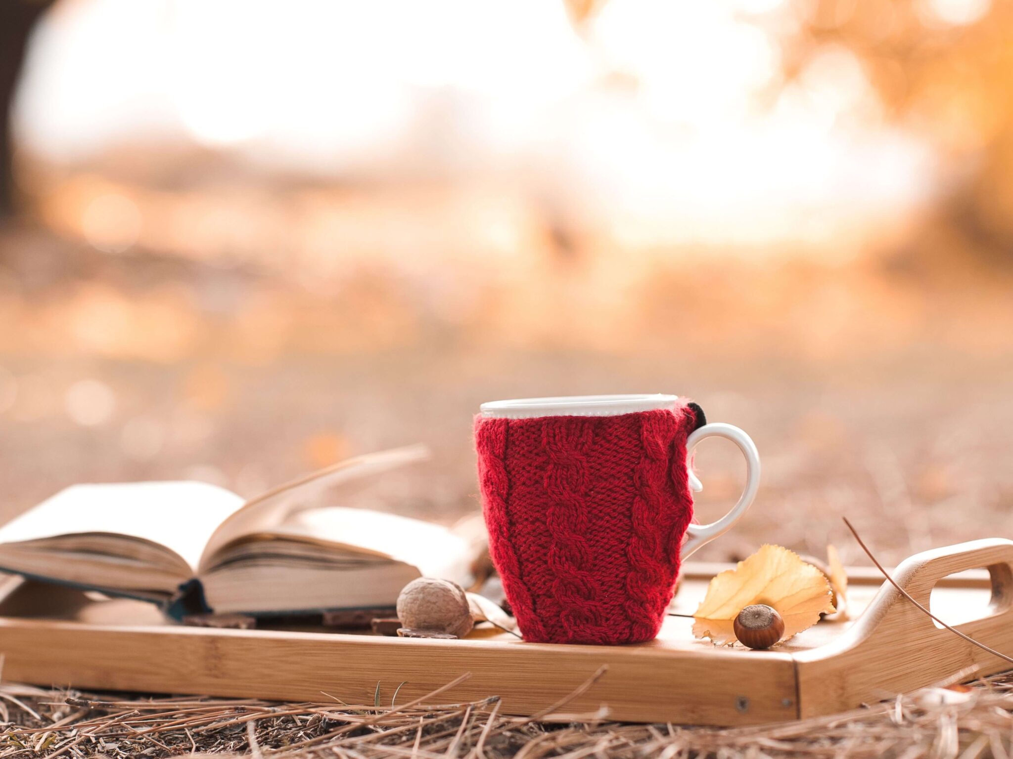 There is a tray on the leaf covered ground. On the tray is a white mug with a red crocheted cozy and an open book.
