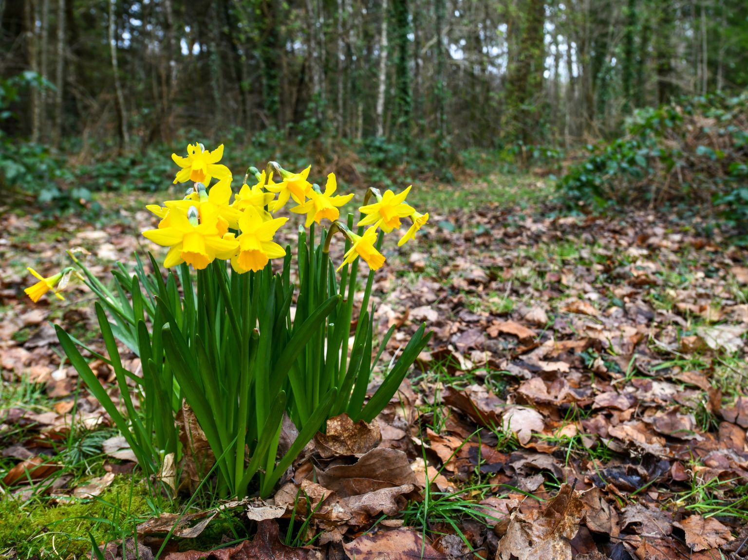 Monday Morning Blog Club 19/2/24