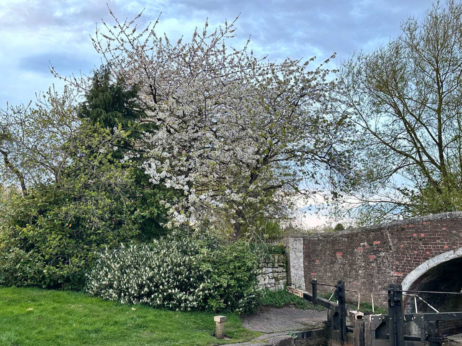 Monday Morning Blog Club 15/4/24