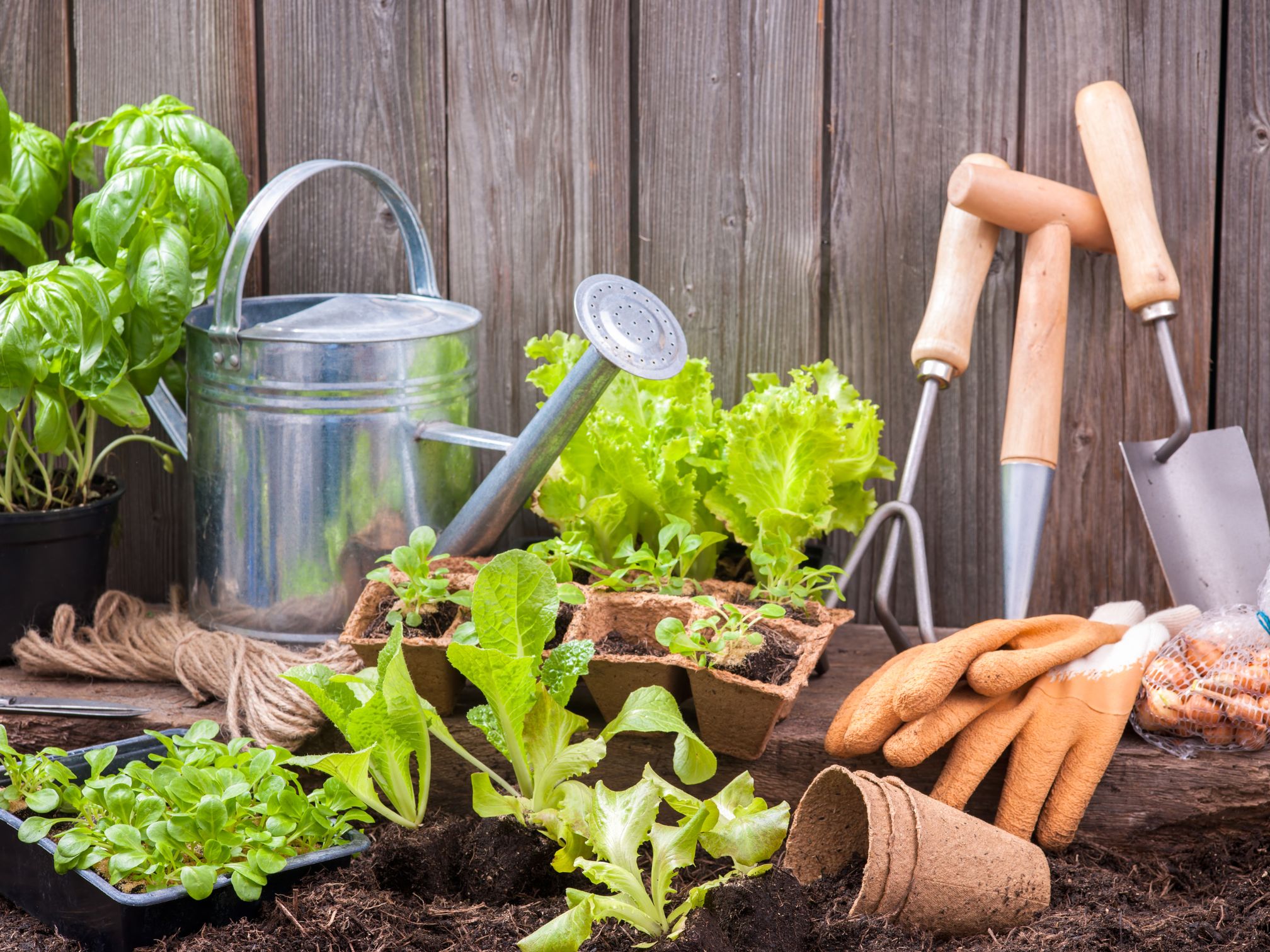 Eco-Friendly Solutions for Your Garden