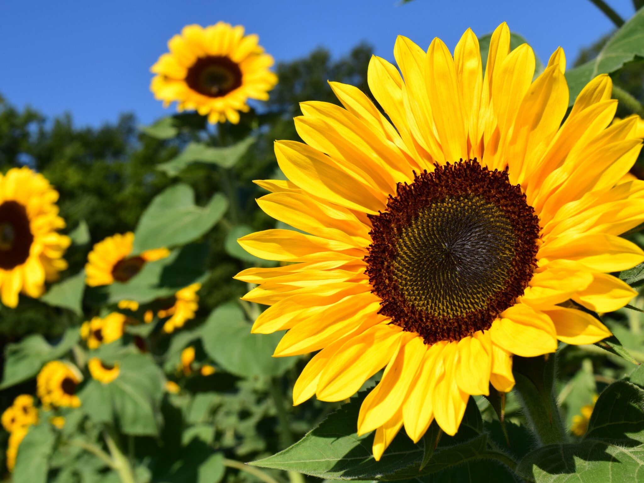 Monday Morning Blog Club 26/8/24