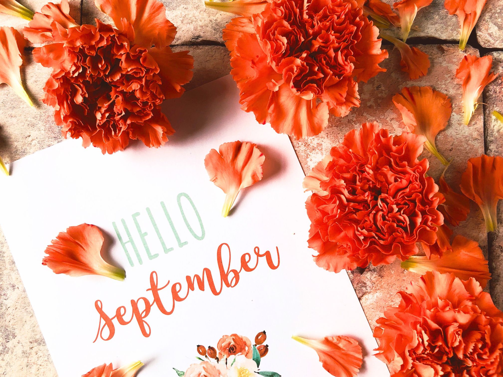Monday Morning Blog Club 2/9/24