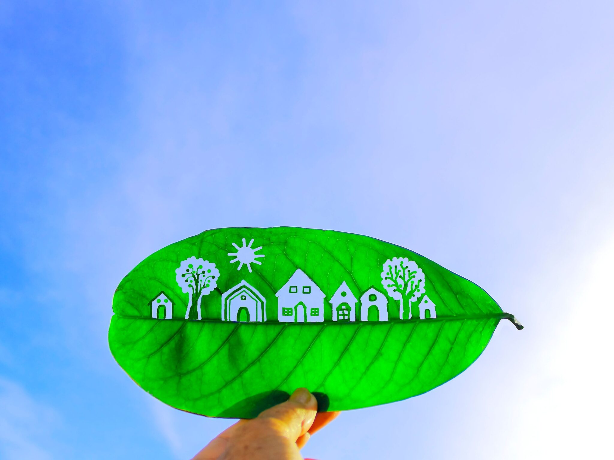 The Ultimate Guide to Eco-Friendly Home Renovations