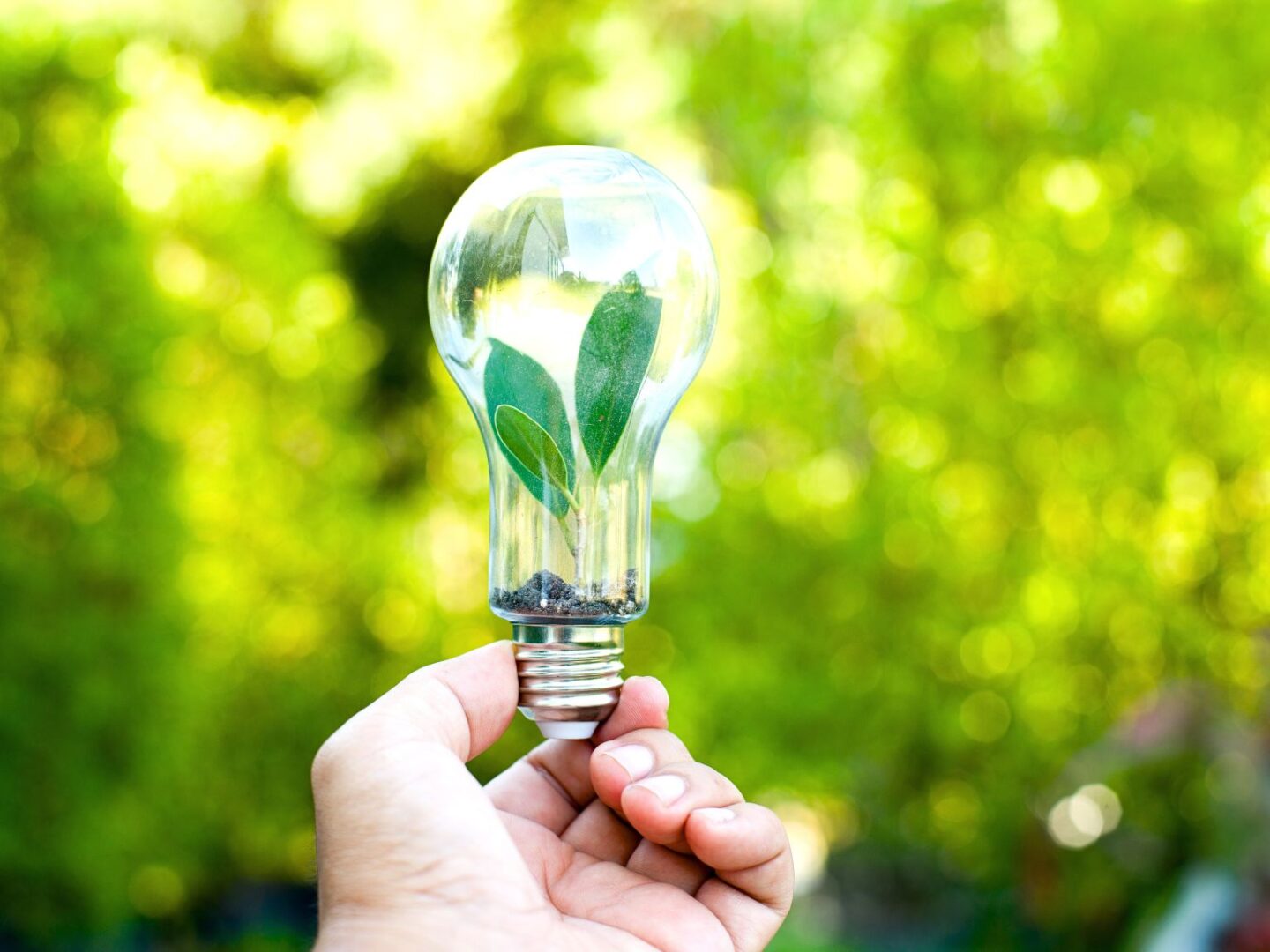 Energy saving lights