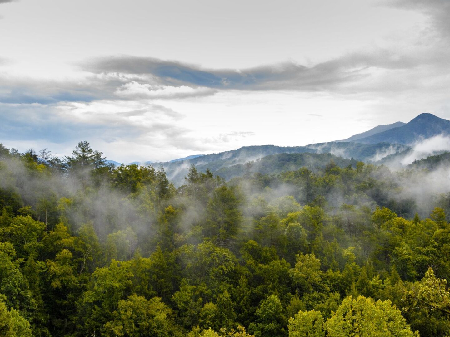 Smoky Mountains National Park