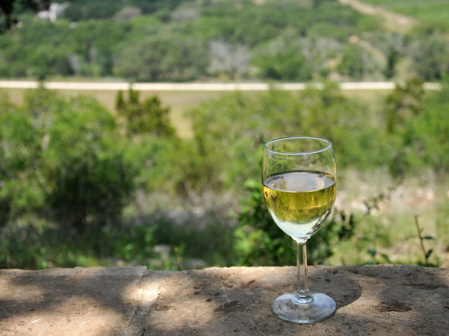 Texas Hill Country Wine