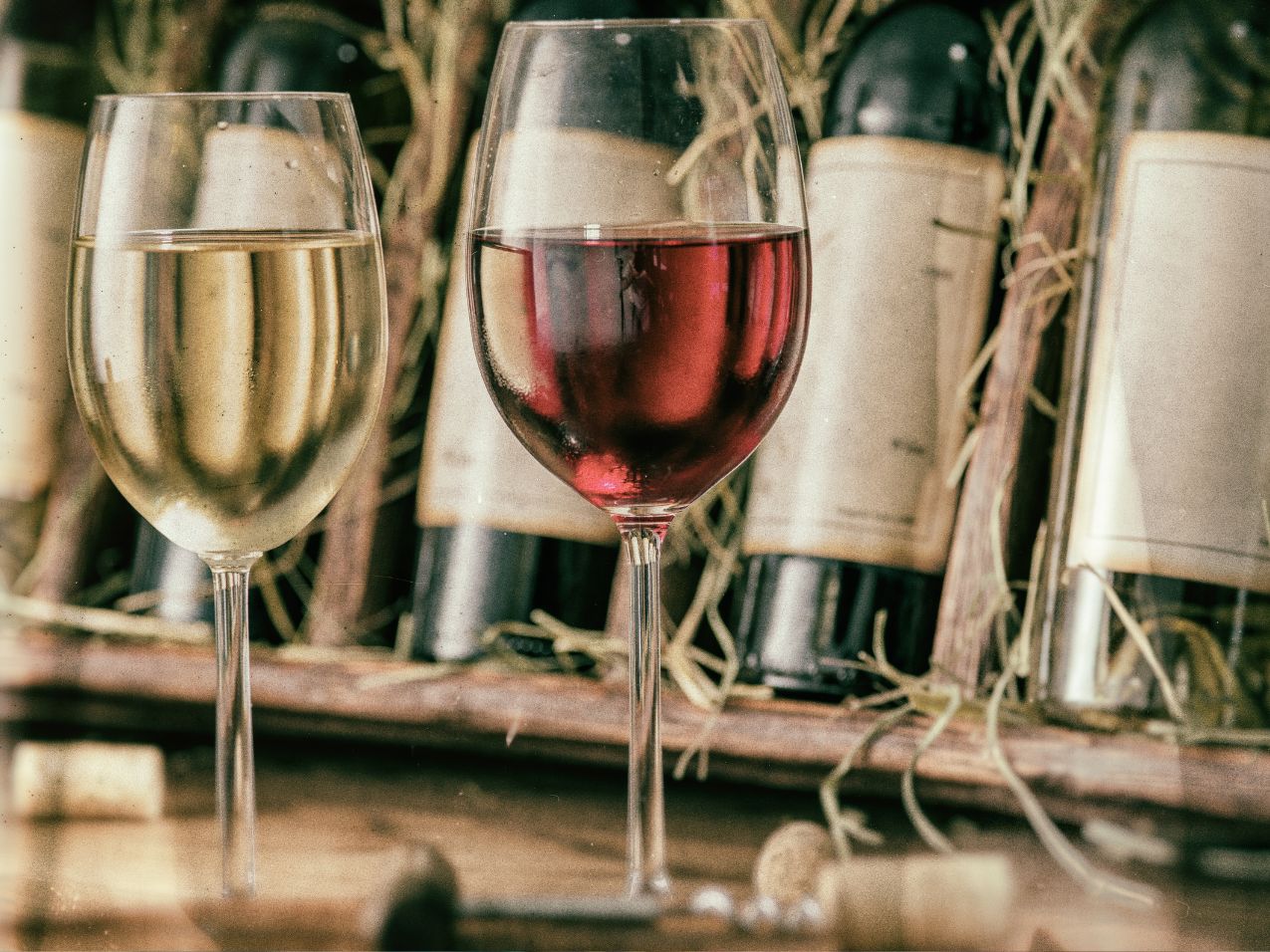 Verona wine tasting