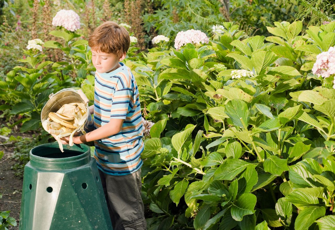 Compost bin