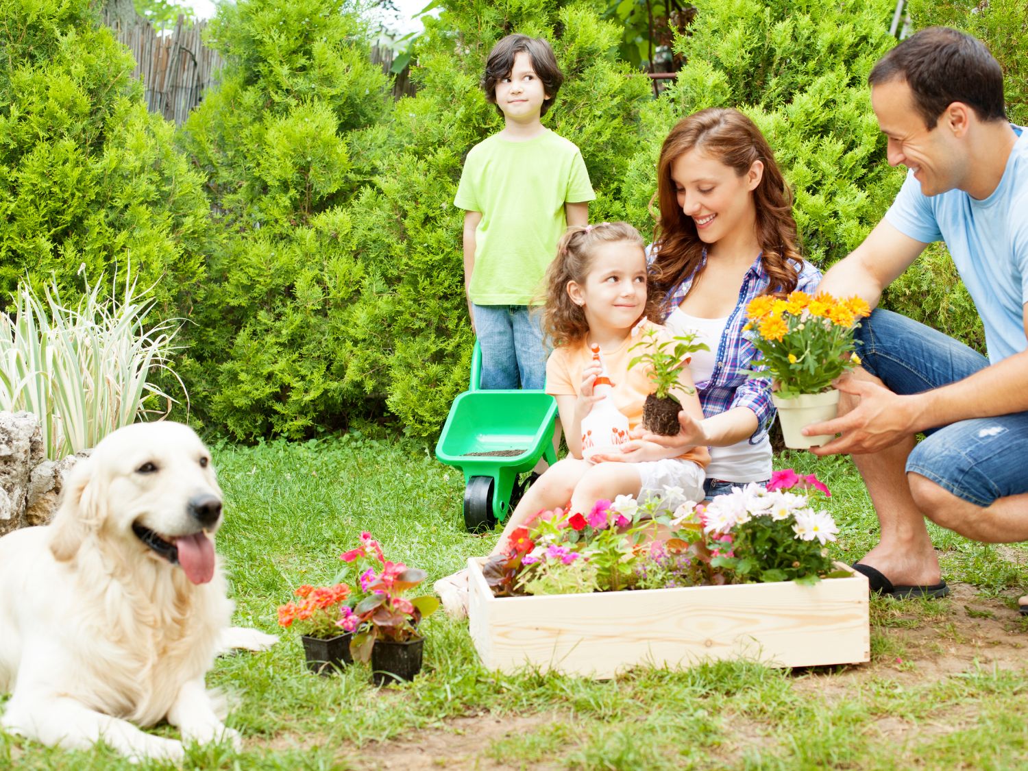 Creative Garden Zones: Spaces for Play, Planting and Peace