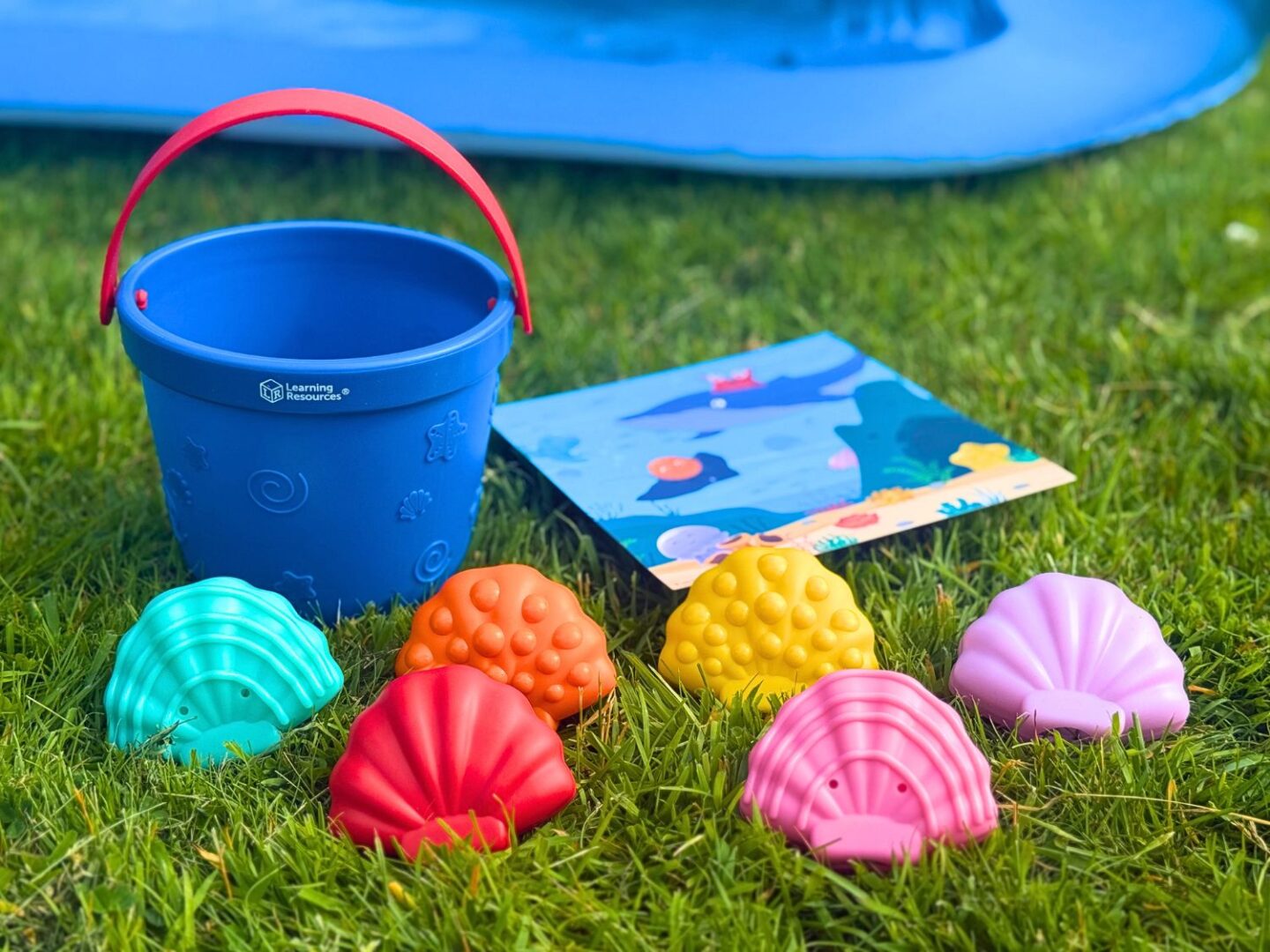 Learning Resources Emotion Seashells