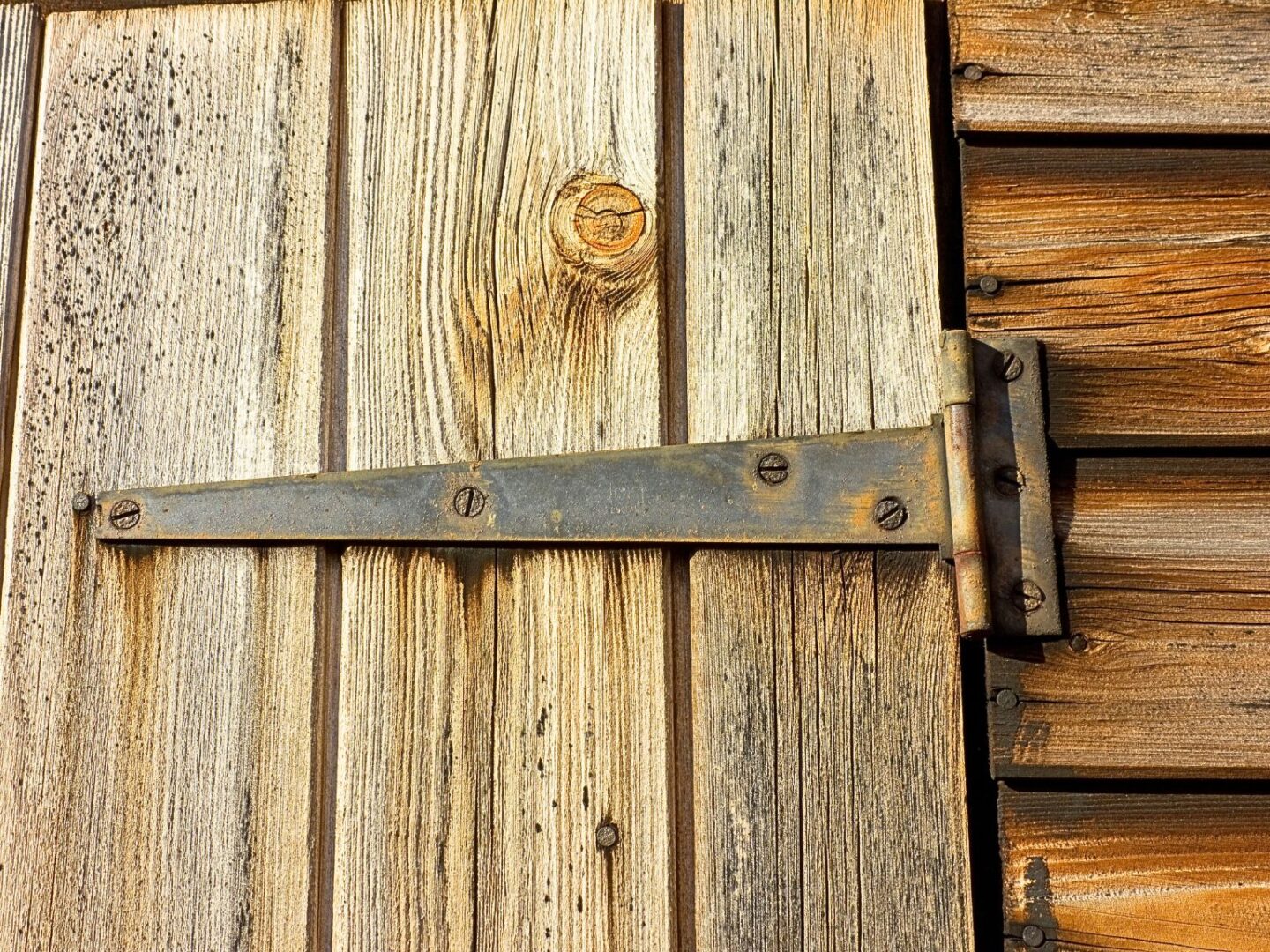 Shed hinges