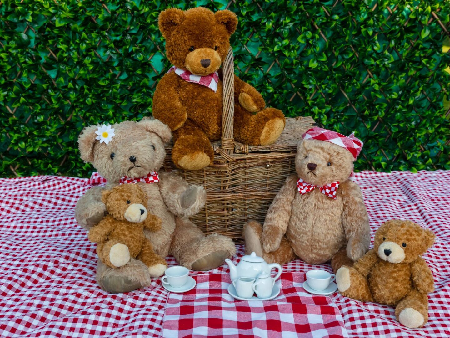 Teddy bear picnic