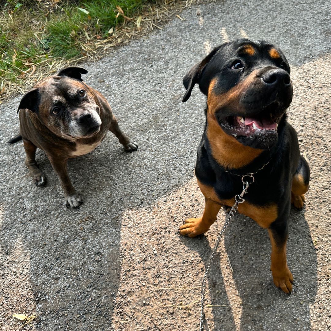 Bruce and Barney 1