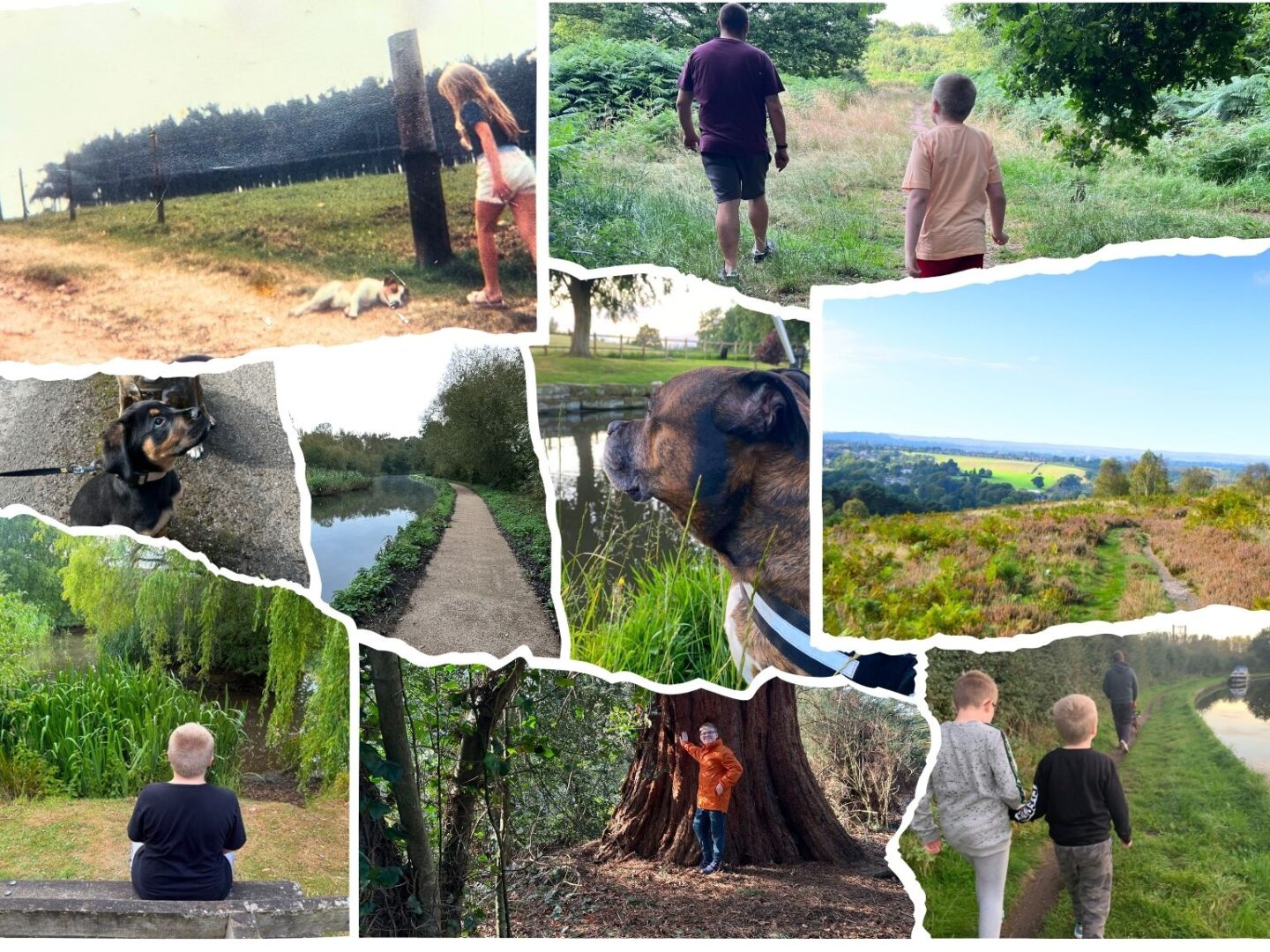 Family walks 1