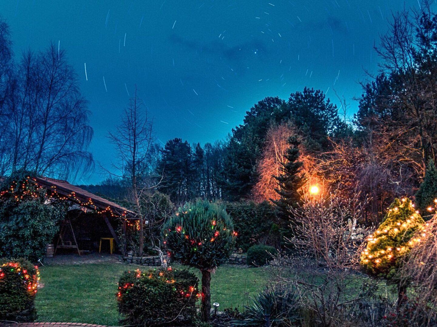 Christmas garden