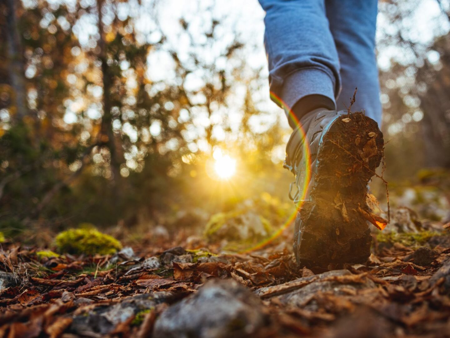 Go for a walk