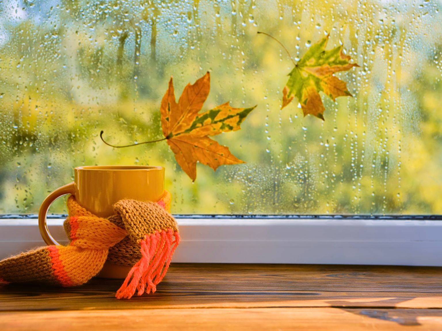 A yellow mug wrapped in a small crocheted yellow and orange scarf, sitting in front of a rain-streaked window with autumn leaves clinging to the glass.