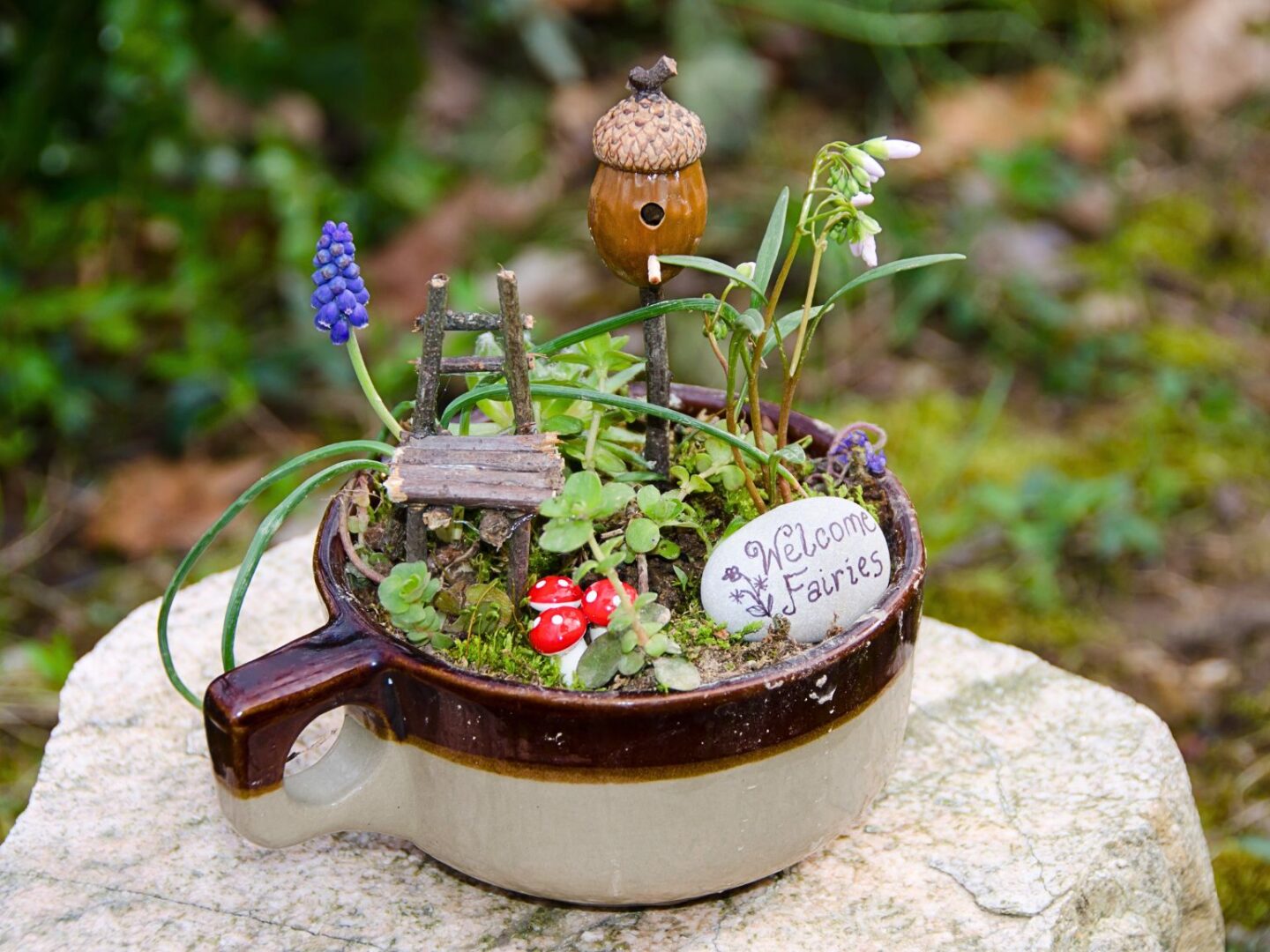 Fairy garden