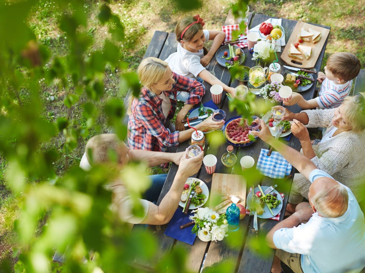 Family picnic