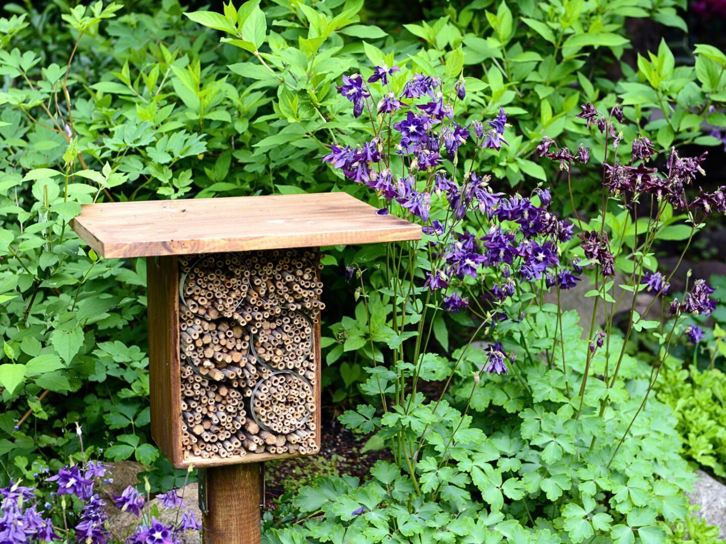 Wildlife corner bug hotel