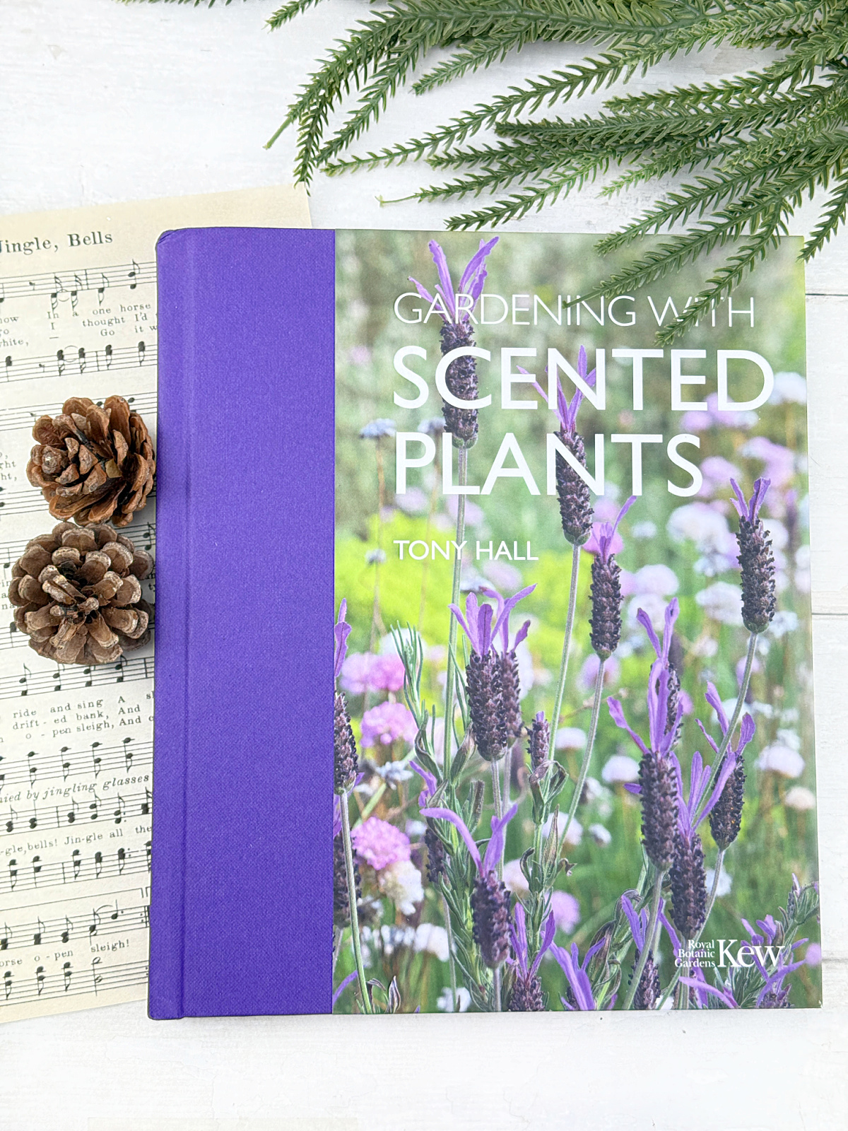 Gardening with scented plants