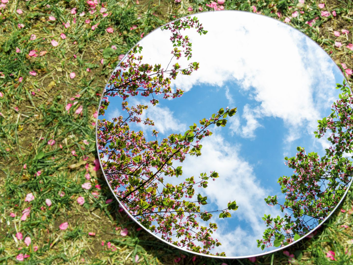 Mirror in garden