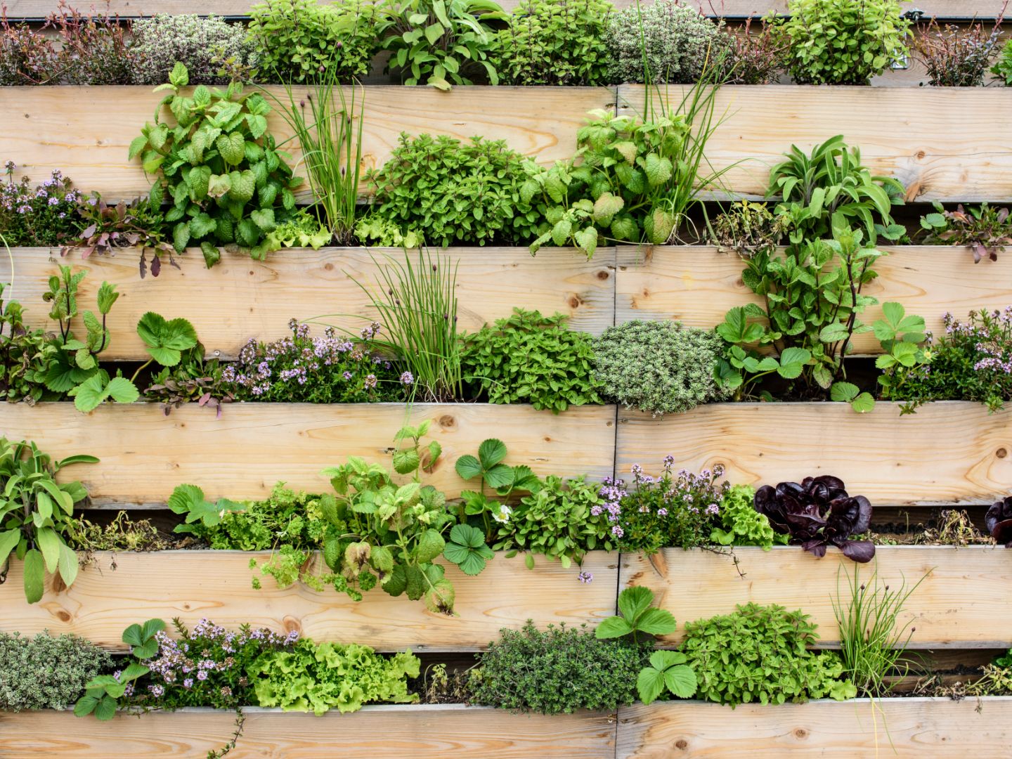 Vertical planters