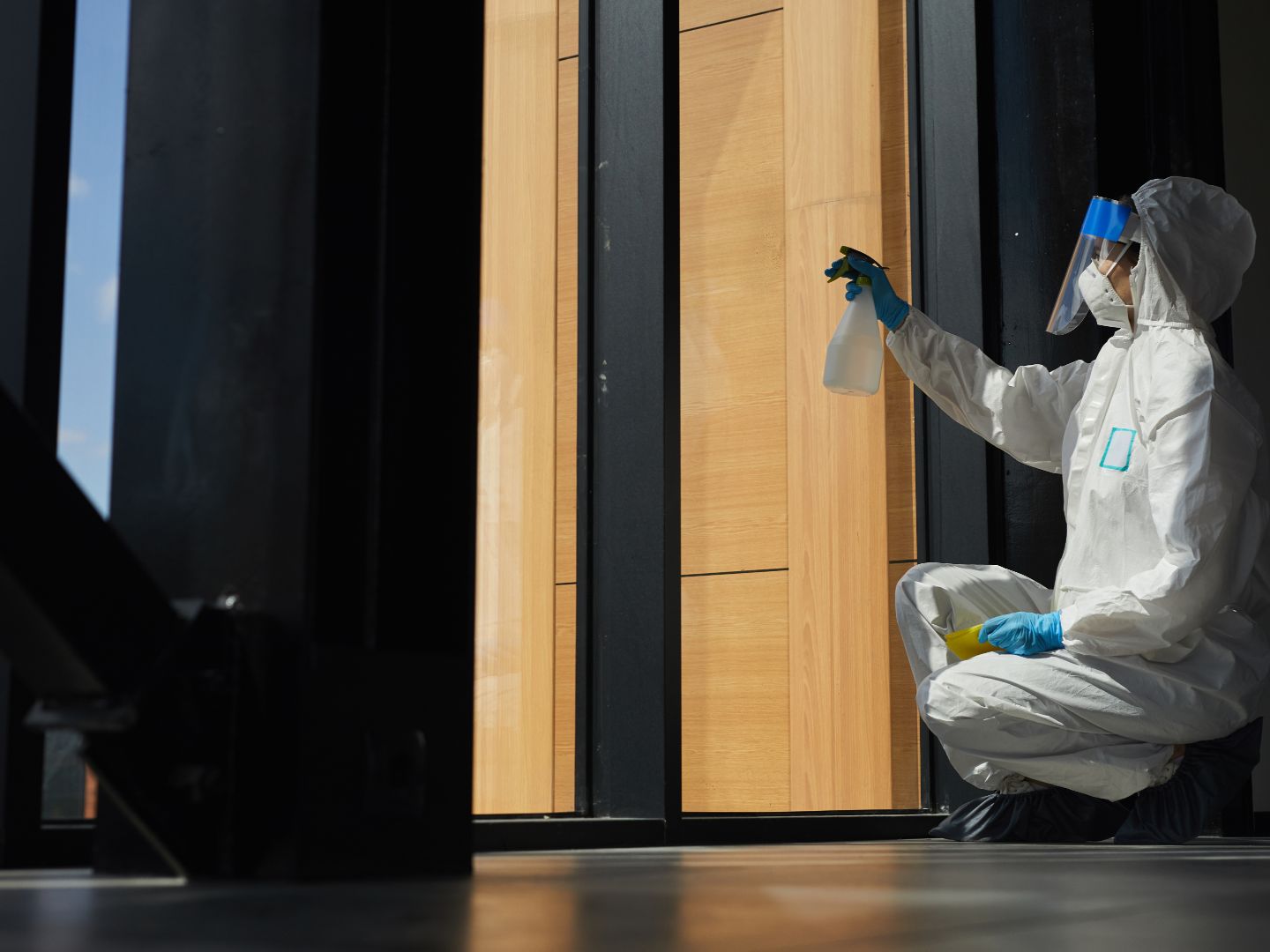 Mould remediation