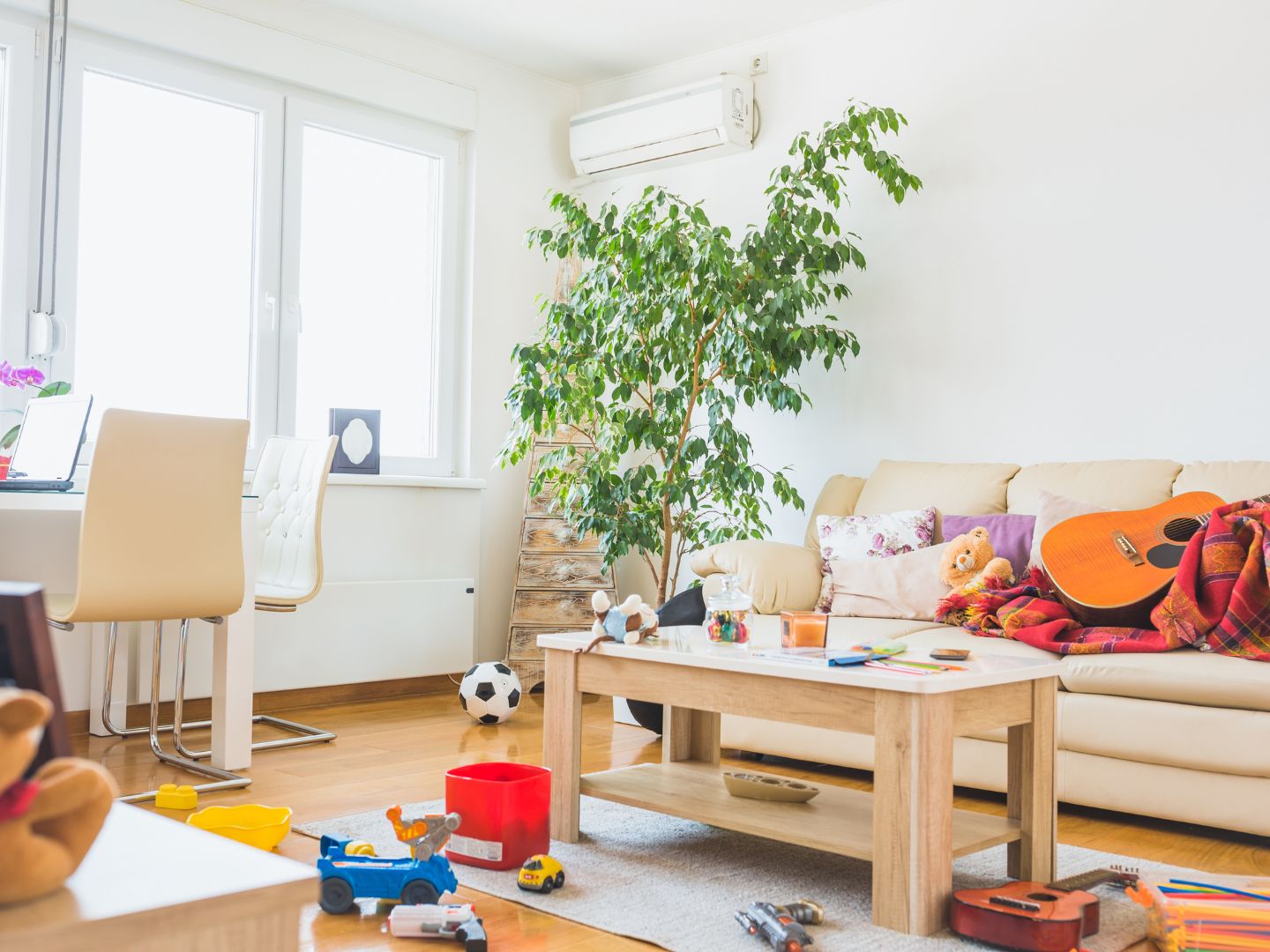 Cluttered home