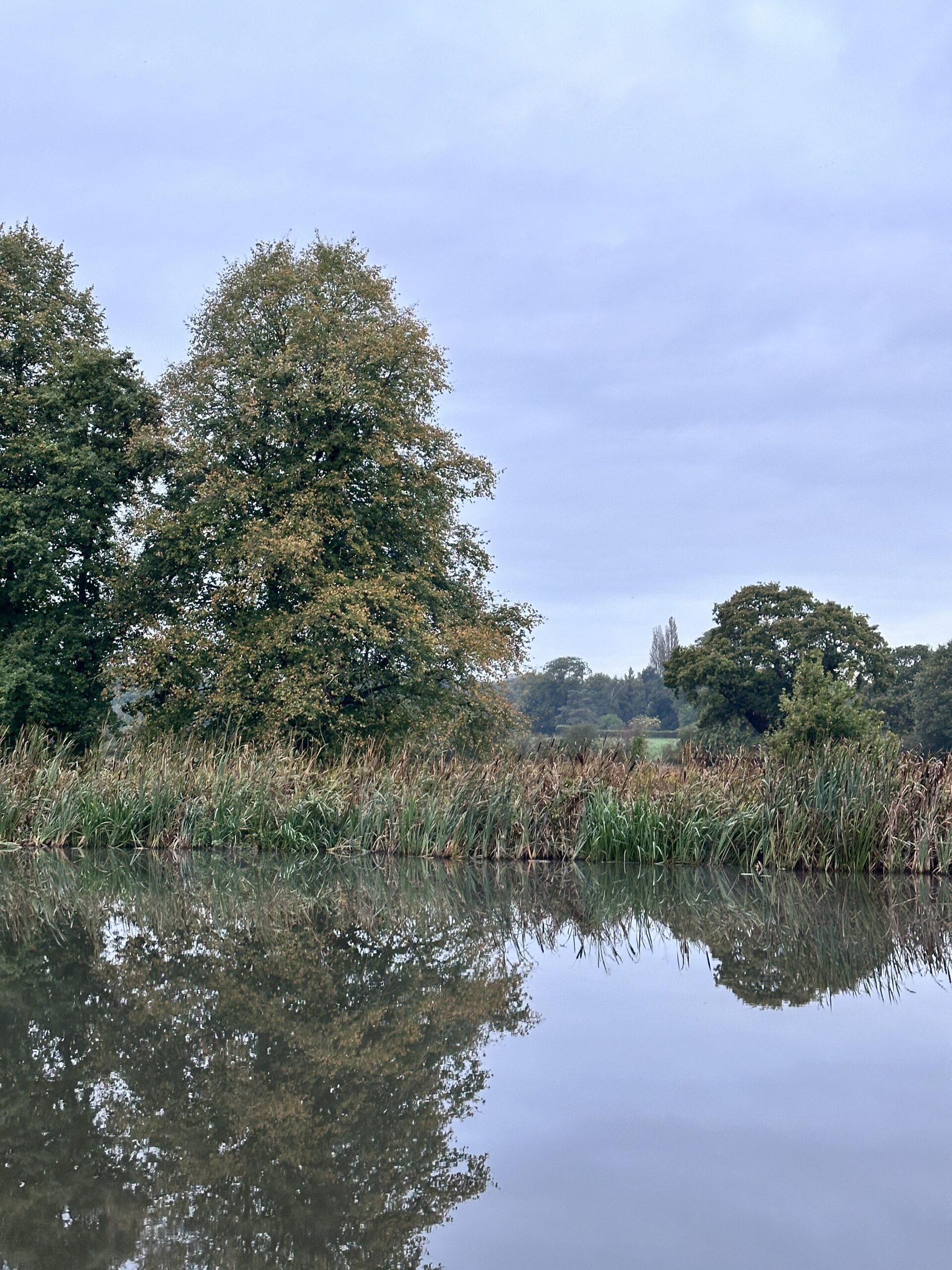 Leaves are starting to turn yellow on the trees on our walk along the canal.