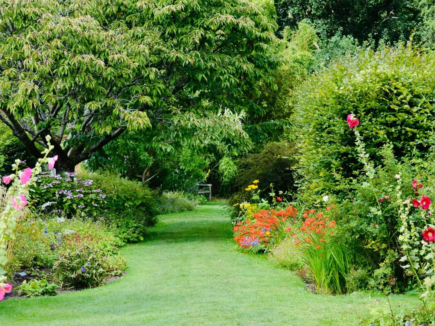 Trees in a garden